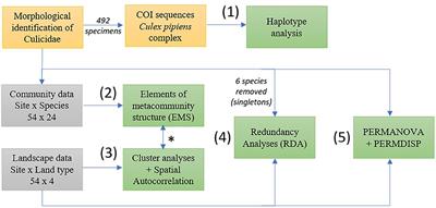 Landscape Composition Affects Elements of Metacommunity Structure for Culicidae Across South-Eastern Illinois